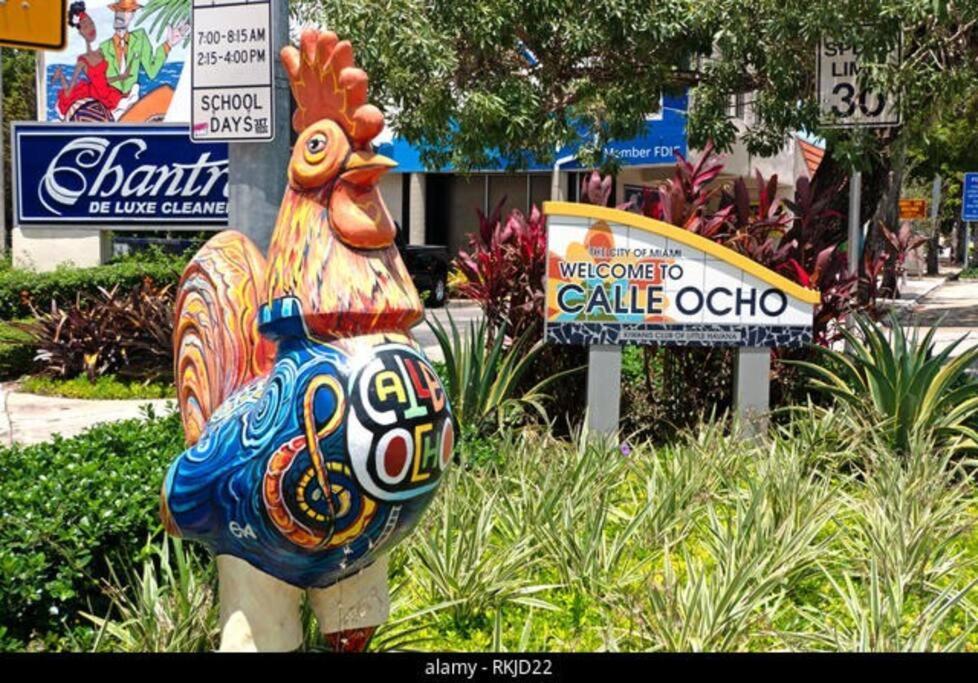 Intimate Casita Mia Minutes Away From Airport, Calle 8, Brickell, Coral Gables, The Beach And More! Miami Extérieur photo